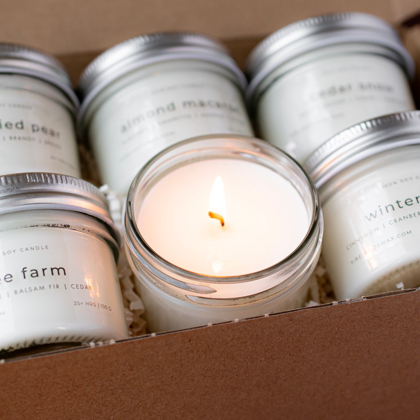 Winter Discovery Box - PREORDER - Image 4