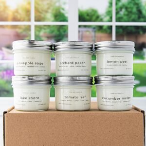 Summer Discovery Box