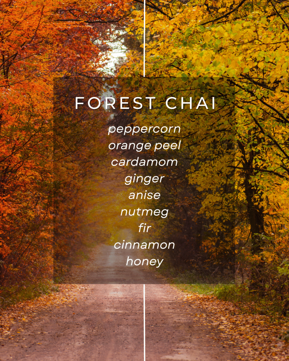 Fall Discovery Box - Image 5