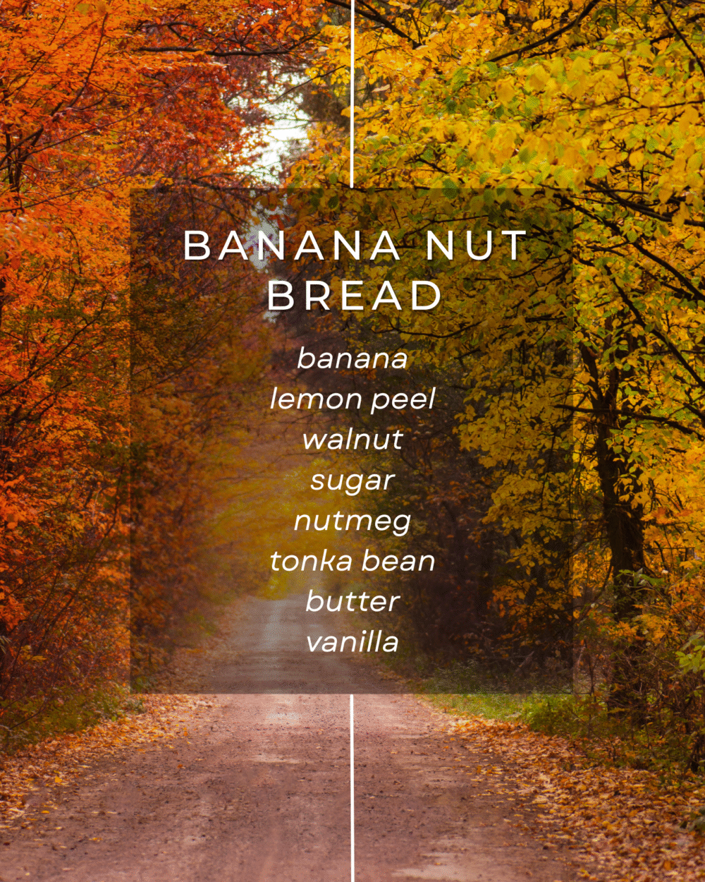 Fall Discovery Box - Image 3