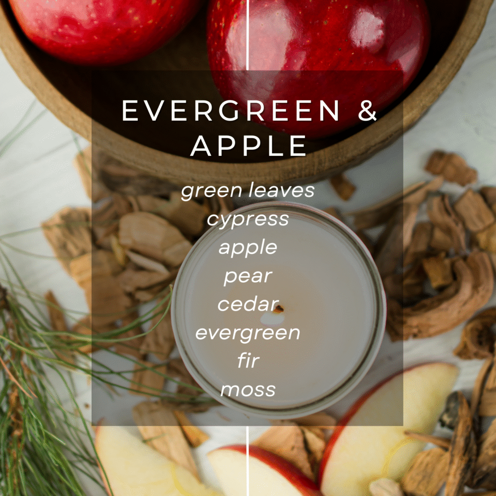 Fall Discovery Box - Image 6