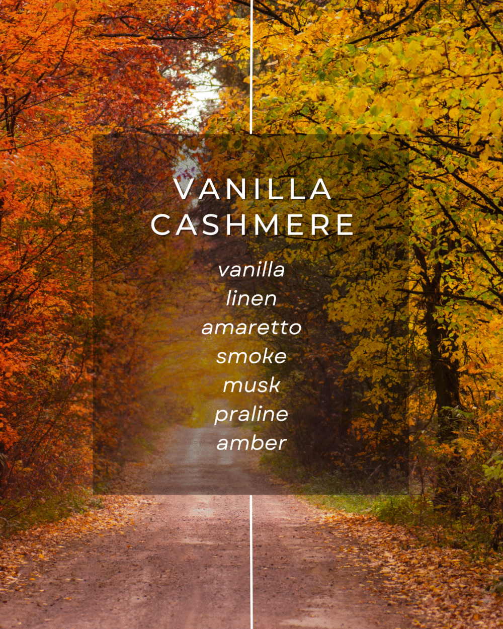 Fall Discovery Box - Image 7