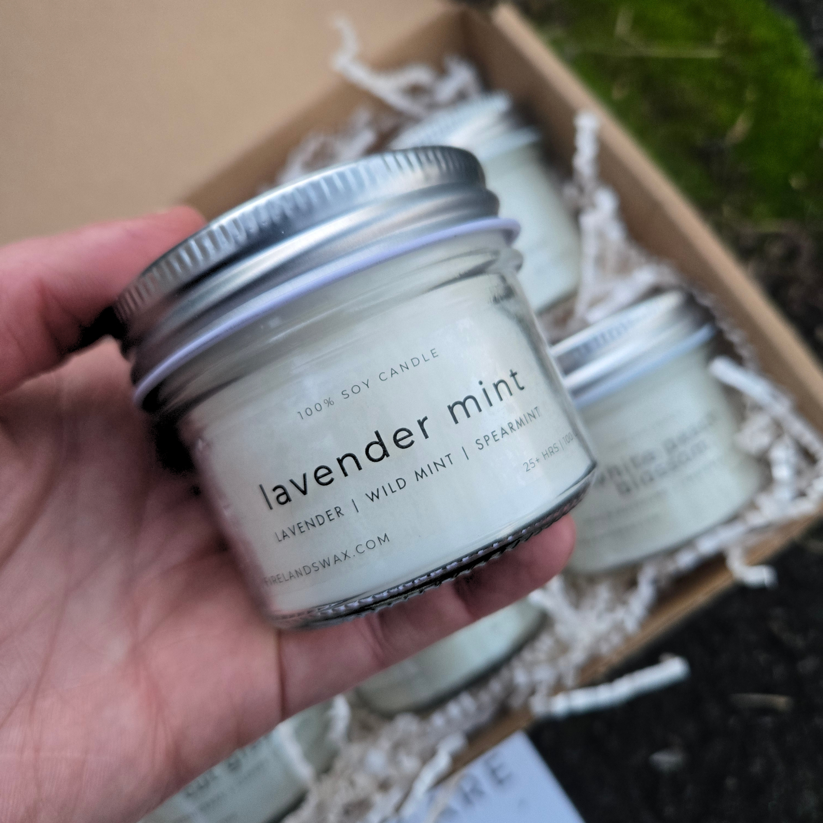 Spring Discovery Box - Image 6