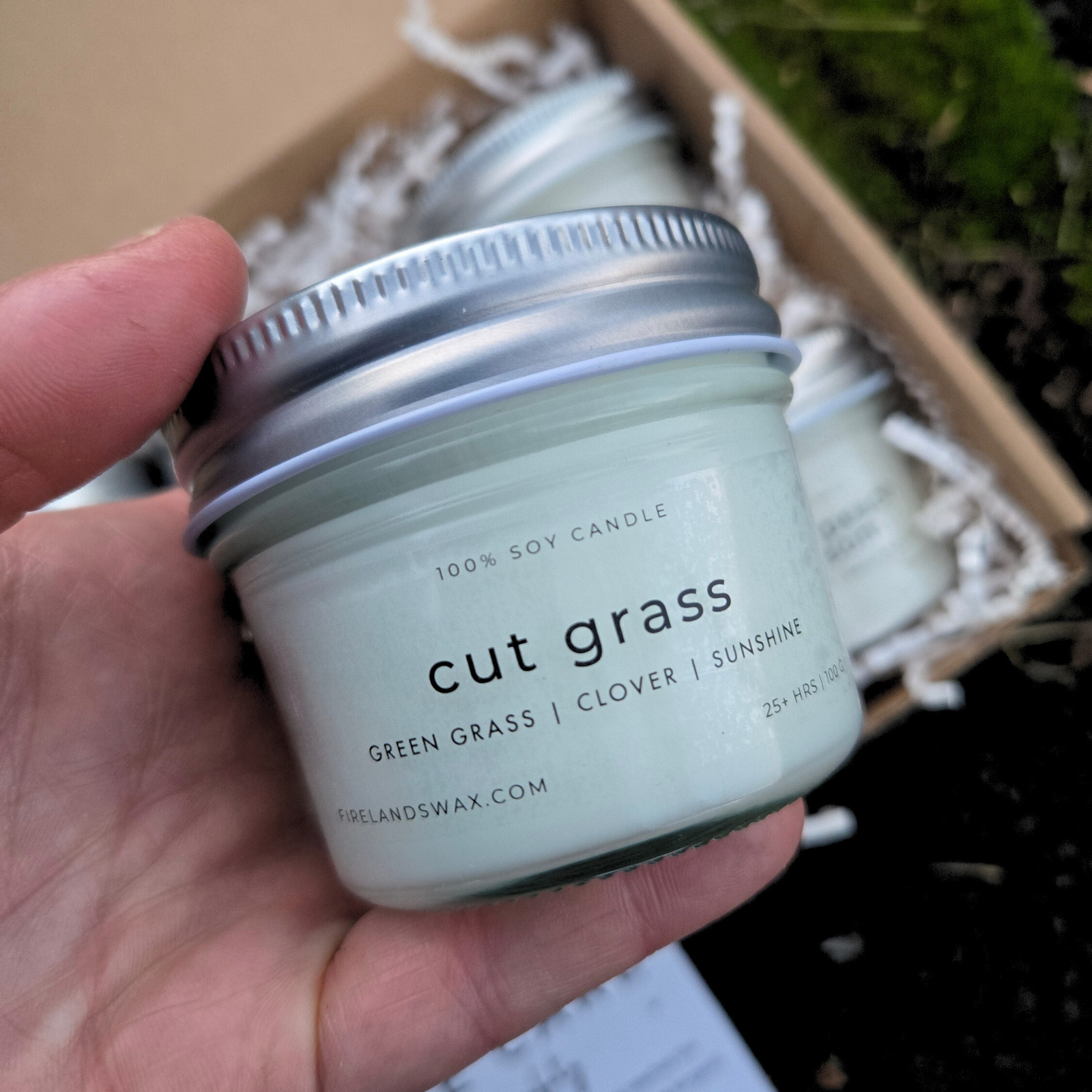 Spring Discovery Box - Image 3