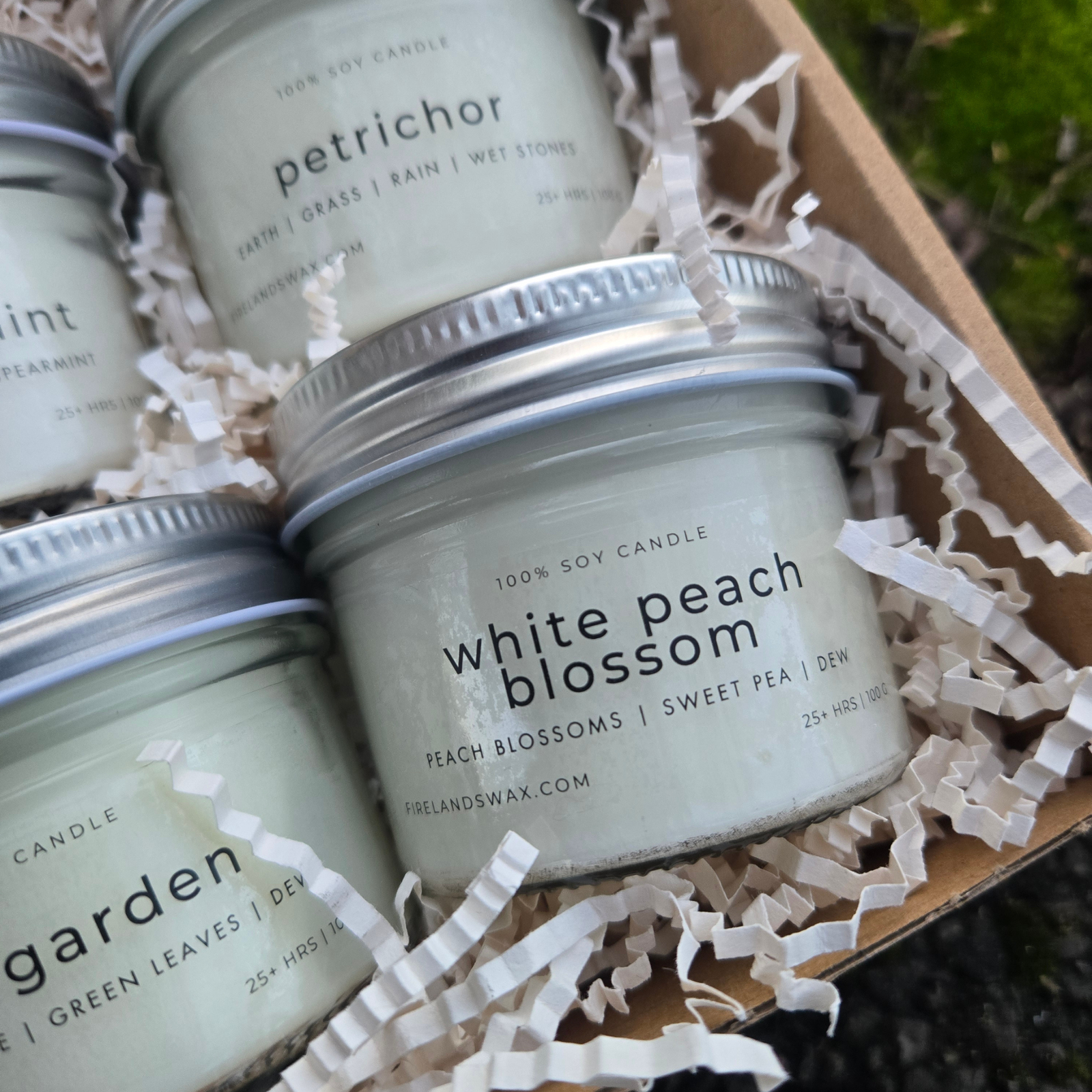 Spring Discovery Box - Image 2