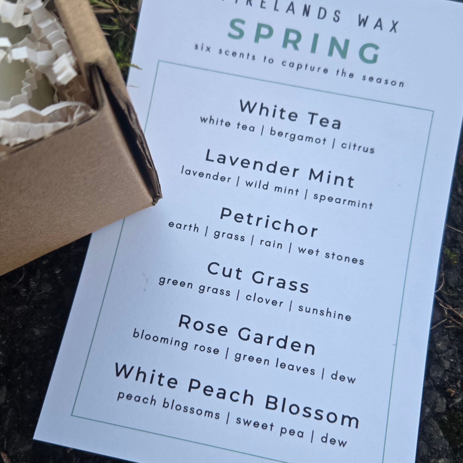 Spring Discovery Box - Image 8