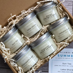 Summer Discovery Box